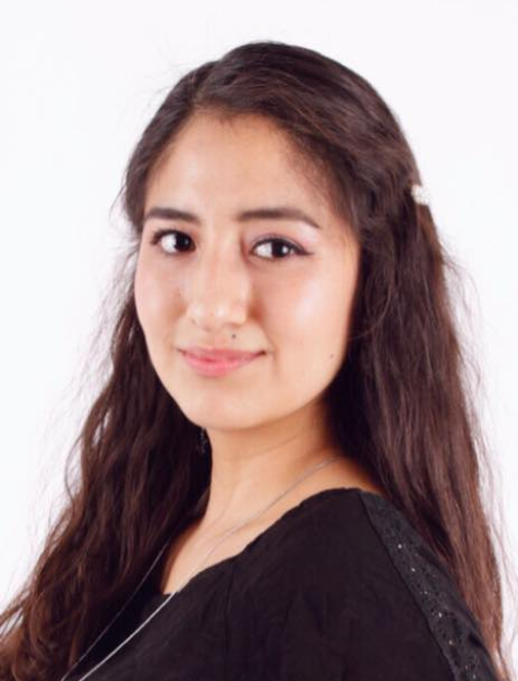 Diana Alexandra Romero Sumosa