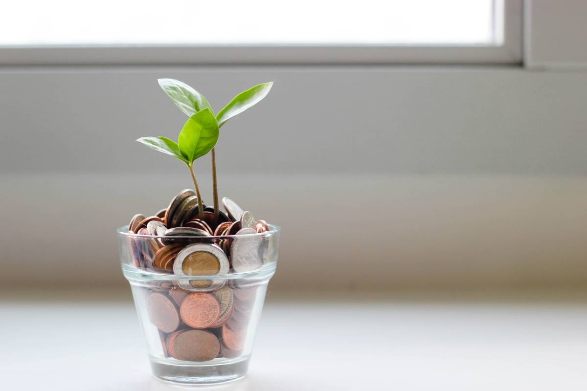 Plant growing out of a pot filled with coins