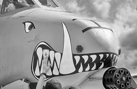a-10 warthog plane