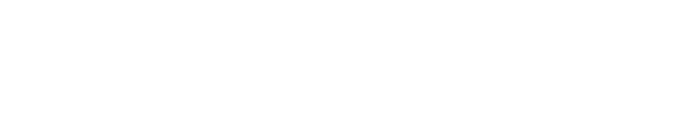 aviation department logo