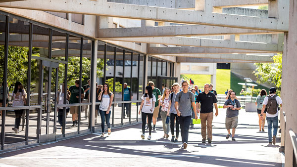 students walking through campus