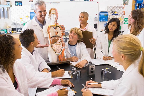 students working with a professor next to a skeleton diarama