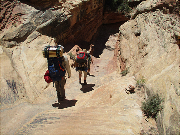 students hiking