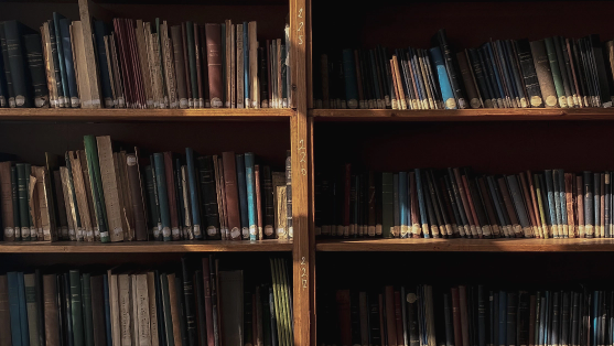 Books on a bookshelf