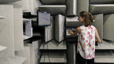 Acoustic chamber