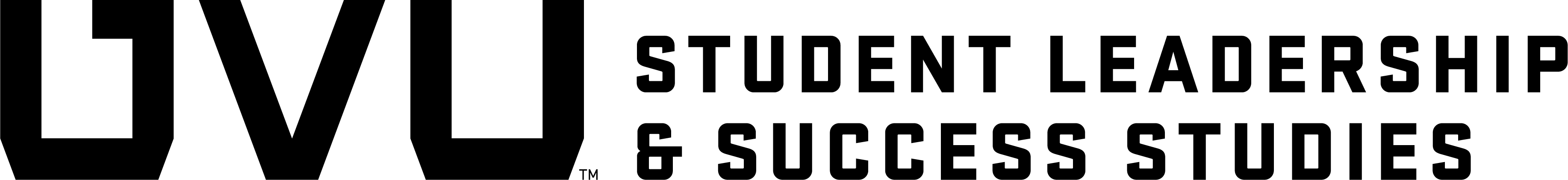 学生 Leadership and Success Studies Image as a Partner