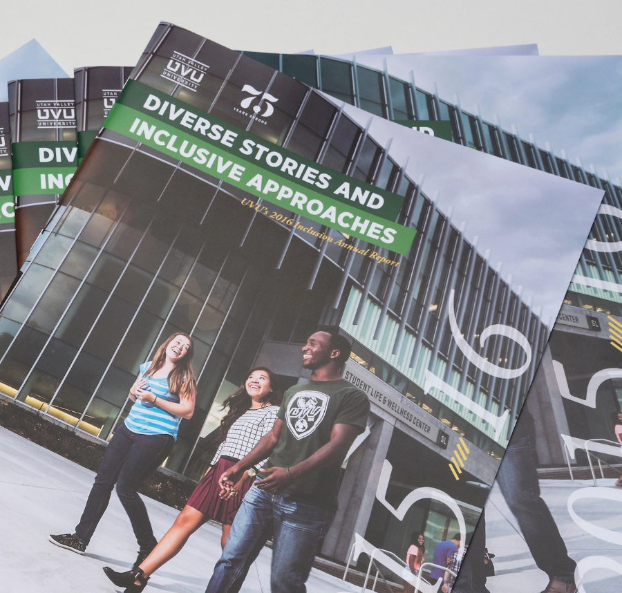 Diverse Stories and Inclusive Approaches brochure