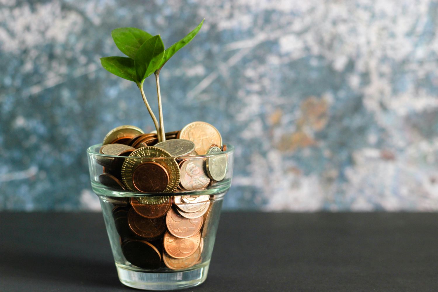 a plant growing out of coins as soil