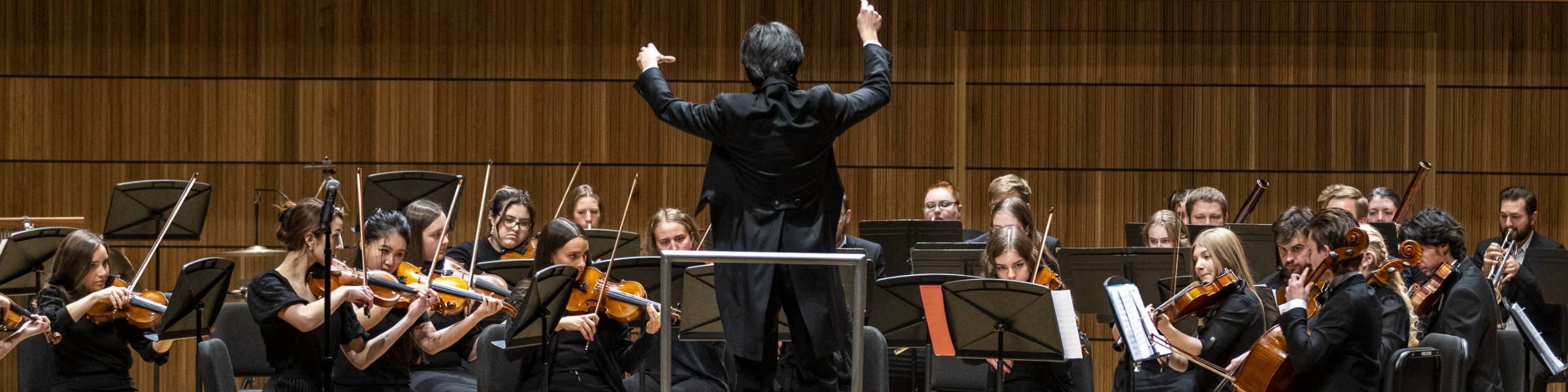 Orchestra - decorative image