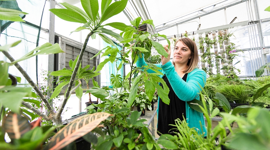 学生 tending to plants in campus greenhouse.