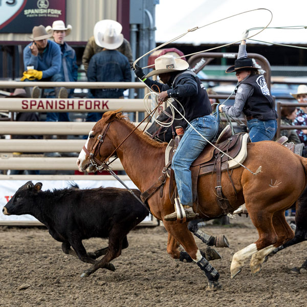 Two UVU牛仔竞技队 members team roping