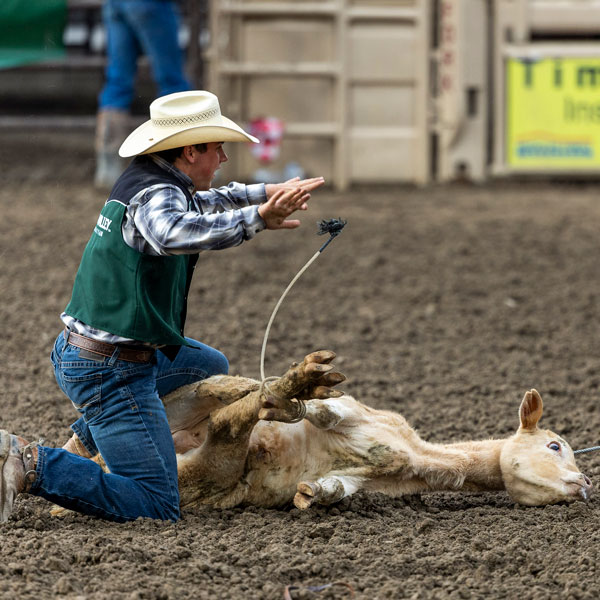 UVU竞技 team member tie down roping