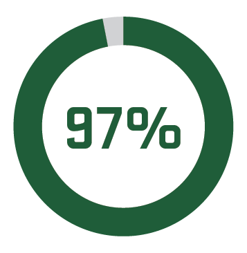 circle with 97%
