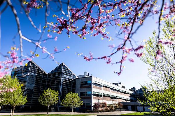 Spring on campus